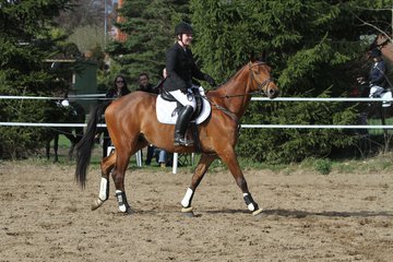 Bild 1377 - WBO-Turnier am 9.4.11